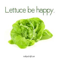 blog - motivation monday